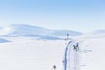 Ramundberget er en del af Nordic Ski i Funäsfjällen, som er et enormt sporsystem, der blandt andet går igennem både skov og fjeld. Foto: Jocke Lagercrantz