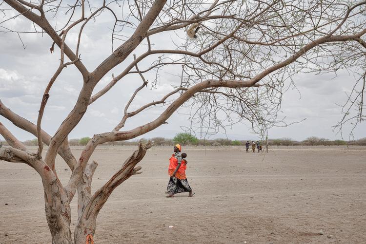 Den danske udviklingsbistand skal være markant grønnere: Hvis en danskstøttet flygtningelejr - som her i det nordvestlige Kenya - skal have strømforsyning, kunne det for eksempel være med solceller, siger udviklingsminister Rasmus Prehn (S). Foto: Miriam Dalsgaard/POLFOTO