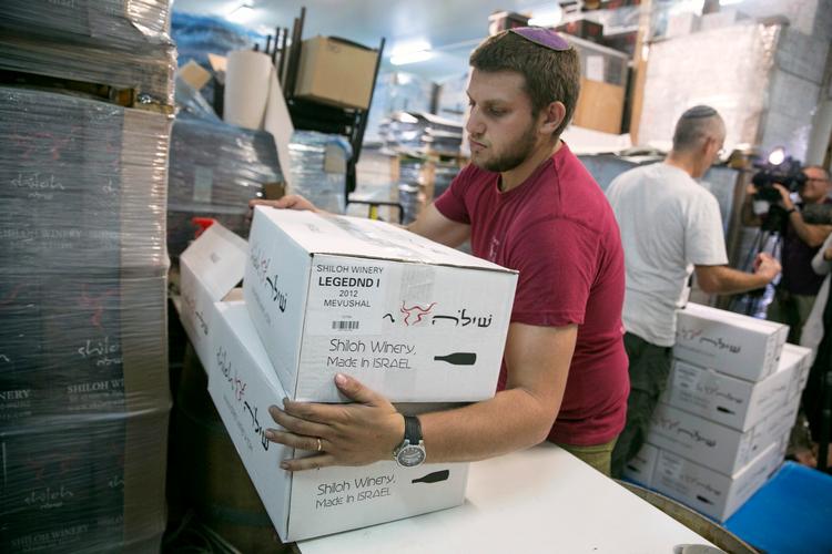 Et af de vinfirmaer på Vestbredden, der vil blive ramt af EU-domstolens afgørelse, er Shiloh, der eksporterer over halvdelen af de 100.000 flasker, der produceres årligt.  Nu skal flaskerne til EU mærkes, så det er klart, hvor de kommer fra.   Foto: Baz Ratner/Ritzau Scanpix