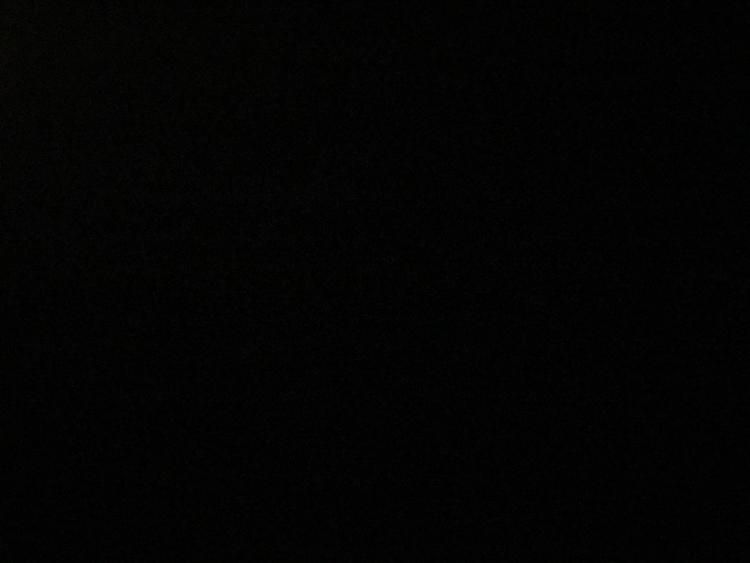Udsigten fra skribentens soveværelse. Heldigvis har det dog indtil videre været muligt at trække gardinerne fra. Foto: Per Munch