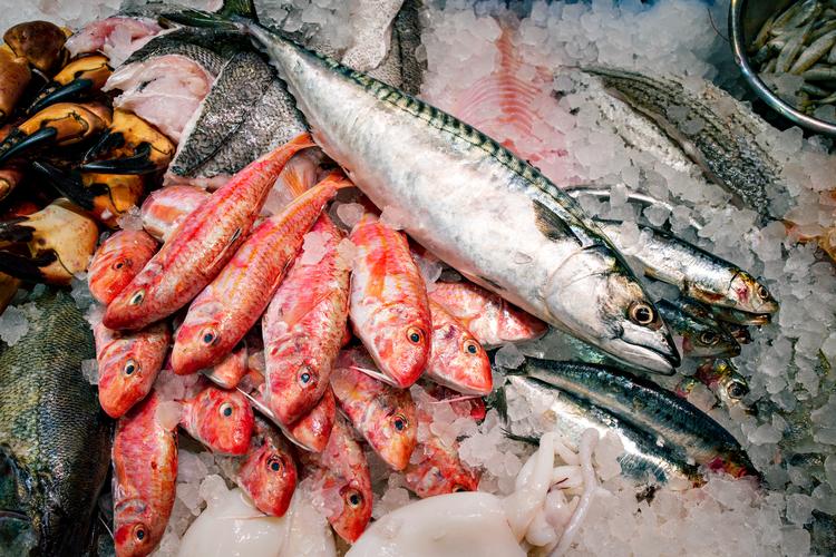 Rød mulle og makrel er blot to af mulighederne, hvis I vil spise flere fisk.
   Arkivfoto: Miriam Dalsgaard