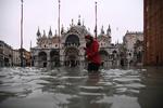Ikke siden 1966 har tidevandet nået et højere punkt i den ikoniske, italienske by Venedig, der er et yndet turistmål for millioner af rejsende hvert år.  Foto: Marco Bertorello/Ritzau Scanpix