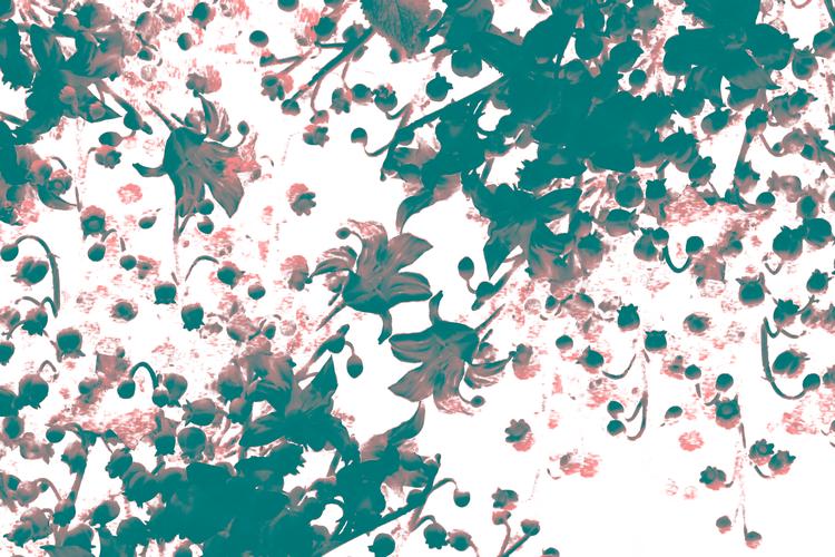 Fotokollage Rasmus Vendrup. Originalfoto: Lewis Whyld/AP/Ritzau Scanpix