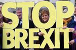 SNP går til valg på at stoppe Brexit og ikke mindst at få endnu en folkeafstemning om skotsk selvstændighed. Det lyder lettere end det er.(Photo by ANDY BUCHANAN / AFP) Foto: Andy Buchanan/Ritzau Scanpix