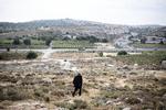 En tostats-løsning med en israelsk og en palæstinensisk stat side om side er meget svær at se for sig, siger flere eksperter, efter den amerikanske udmelding om, at landet ikke længere anser israelske bosættelser på Vestbredden som værende i strid med folkeretten.  Foto: Nanna Navntoft/POLFOTO