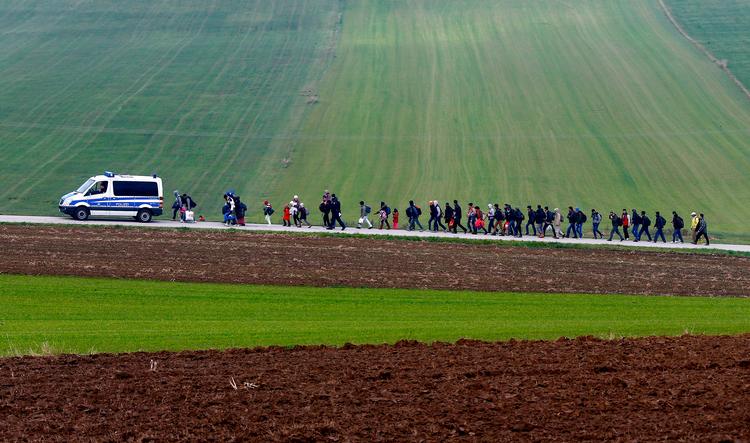 Migranter eskorteres af tysk politik til et registreringscenter, efter at de har krydset grænsen fra Østrig til fods i 2015. Foto: REUTERS/Michael Dalde   Foto: Michael Dalder/Ritzau Scanpix