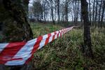 
Der er allerede mærket op til træfældning, så der kan blive plads til 10 kæmpesommerhuse den historiske Marielyst Ferieby. Den lokale kommune, Guldborgsund, er indstillet på at give dispensation for bebygningsprocenterne. 
   Foto: Mads Nissen/POLFOTO