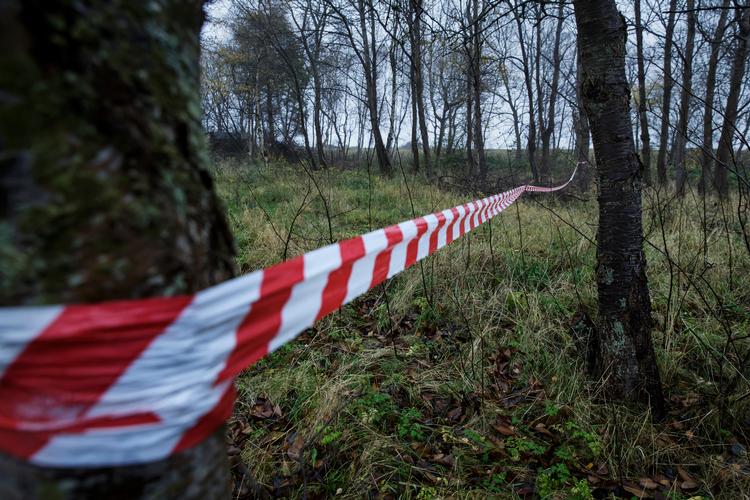 
Der er allerede mærket op til træfældning, så der kan blive plads til 10 kæmpesommerhuse den historiske Marielyst Ferieby. Den lokale kommune, Guldborgsund, er indstillet på at give dispensation for bebygningsprocenterne. 
   Foto: Mads Nissen/POLFOTO