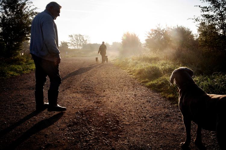 Stejlepladsen er et vildnis velegnet til hundeluftning.  Foto: Martin Lehmann