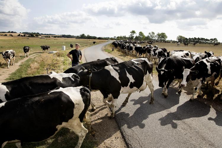 Foto: Finn Frandsen (arkiv)/POLFOTO