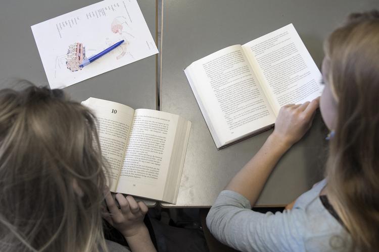 Man skal se på baggrundsmaterialet, hvis man skal bruge resultaterne i de nationale test til noget, mener Claus Hjortdal, formand for skolelederne.
   Foto: Finn Frandsen/POLFOTO