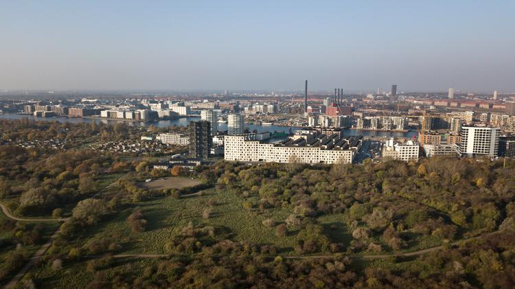 By &amp; Havn ødelægger natur og dyreliv på Amager Fælled i sin jagt på penge, mener Danmarks Naturfredningsforening.
   Foto: Jens Dresling/POLFOTO