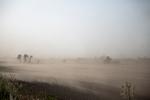 En støvstorm fotograferet nær Sorø. Den svigtende regn i april måned betød, at jorden var voldsomt tør ude på markerne. Foto: Louise Herrche Serup/POLFOTO