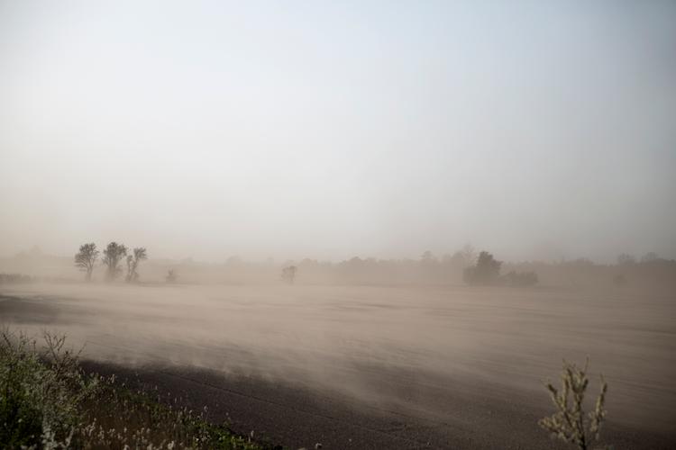 En støvstorm fotograferet nær Sorø. Den svigtende regn i april måned betød, at jorden var voldsomt tør ude på markerne. Foto: Louise Herrche Serup/POLFOTO