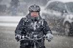 Slud og tøsne lyder menuen for i dag, og vi skal ikke regne med, at sneen bliver liggende, lyder det fra DMI. 
   Foto: Jens Dresling (arkiv)/POLFOTO