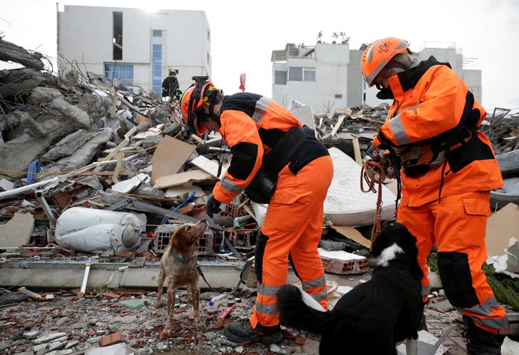 Redningsarbejdere med hunde leder efter overlevende i byen Durres. Foto: Florion Goga/Ritzau Scanpix