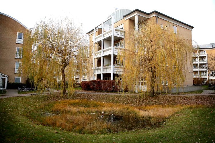 Fredeligt ser det ud, og fredeligt var det også, da Politiken tog til Gadelandet/Husumgård i Husum, for at spørge borgerne om, hvad de synes om, at området er taget af ghettolisten.  Foto: Jens Dresling/POLFOTO