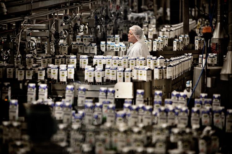 Af de uddannelser, der giver mest, er kun en enkelt, der har direkte med produktionsdanmark at gøre, med i top-10. Mejeribrugsvidenskab er på en fjerdeplads. Foto: Joachim Adrian/POLFOTO