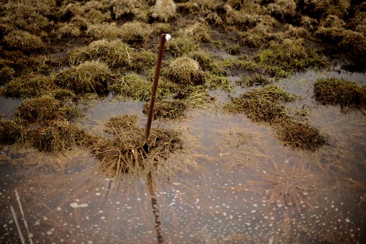 Foto: Peter Hove Olesen/POLFOTO