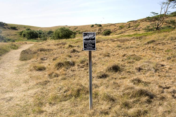 file719m41ypwvlqk96d28n