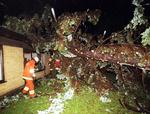 Den ødelæggende orkan ramte Danmark fredag den 3. december 1999. Foto: Gert Jensen/POLFOTO
