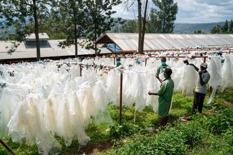 I udkanten af Rwandas hovedstad, Kigali, har virksomheden Eco Plastic gjort en forretning ud af at indsamle og genbruge plastik.  Foto: Heidi Skibsted