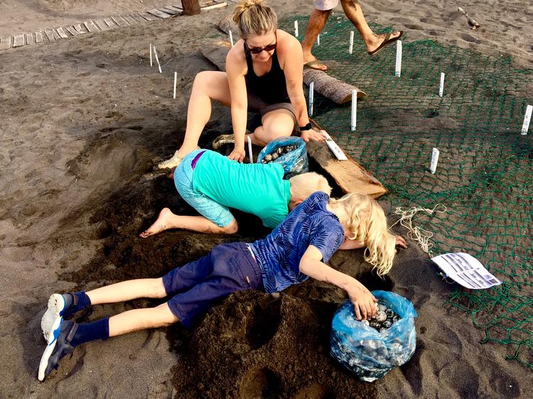 Havskildpaddernes æg er værdifulde på Mexicos sorte marked, så alle æg skal flytte fra skildpadderederne på stranden og til et bevogtet sted i sikkerhed for lokale krybskytter. To måneder efter Albert, 7, Hugo, 9, og Helle, 41, har gravet æggene ned, klækker de og bliver til babyskildpadder. Foto: Helle Vincentz