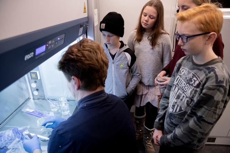 
Novofondens LIFE Mobil Lab er for naturfagsundervisning af en 6. klasse. Her er de på Nordvest Skolen i Helsingør, hvor 6.C kigger på svampe og enzymer. Foto: Peter Hove

 
   Foto: Peter Hove Olesen/POLFOTO