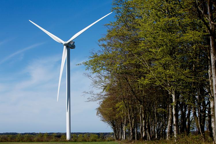 Den grønne omstilling vil kræve massive investeringer i for eksempel vindmøller. Det kan grønne statsobligationer være med til at løfte.
   Foto: Thomas Borberg/Ritzau Scanpix