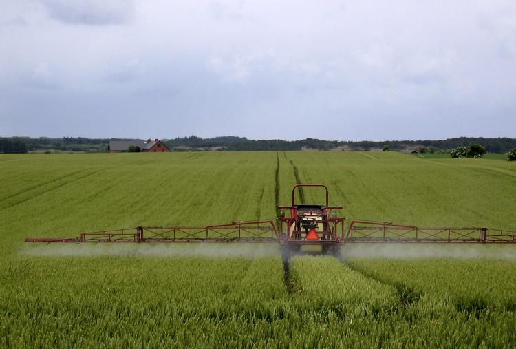 Der er fejl, sjusk og manglende konsekvens i godkendelse og overvågning af sprøjtemidler, mener statsrevisorerne.
   Foto: Thomas Borberg/POLFOTO