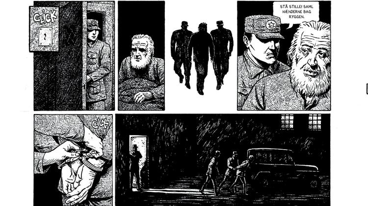 Foto: Illustration fra albummet