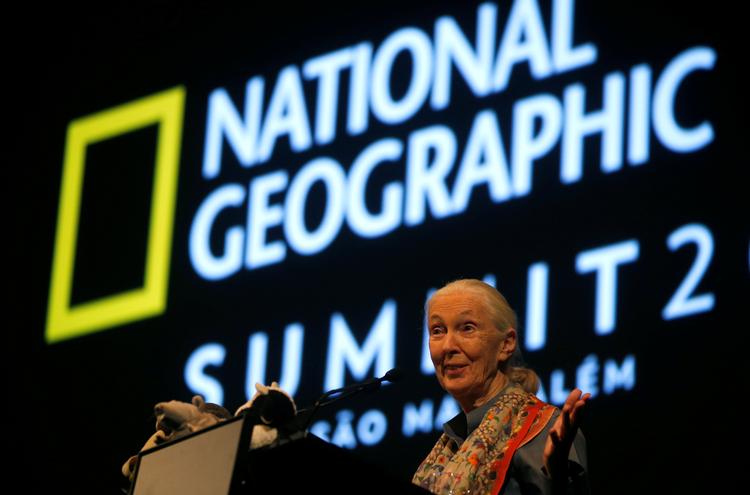 National Geograhic holder årlige topmøder eller konferencer. I 2017 deltog den berømte, britiske primatolog, etolog og antropolog, Jane Goodall.
     Foto: Rafael Marchante/Ritzau Scanpix