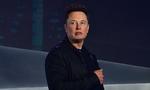 Elon Musk er stor tilhænger af solenergi, og genoplivede i lørdags sin plan om at forsyne hele Amerika med solkraft. Foto: Frederic J. Brown/Ritzau Scanpix