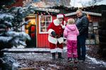 Foto: Andreas Merrald/POLFOTO
