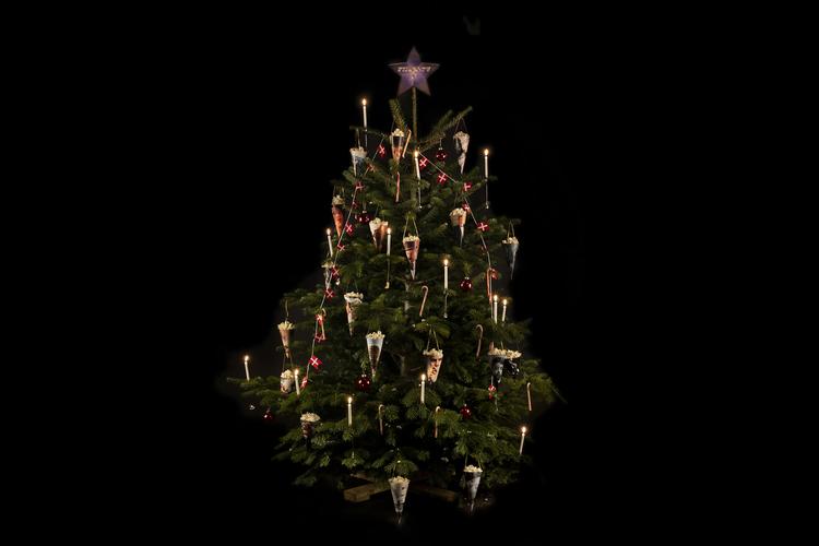 Foto: Finn Frandsen/POLFOTO