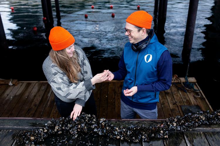 Den selvejende insitution Havhøst vil have børn og unge ud og engagere sig i havmiljøet ved at være med til at hive muslinger op af vandet. Se på havhøst.dk, hvordan du kan starte din egen nyttehave. Foto: Emma Sejersen
