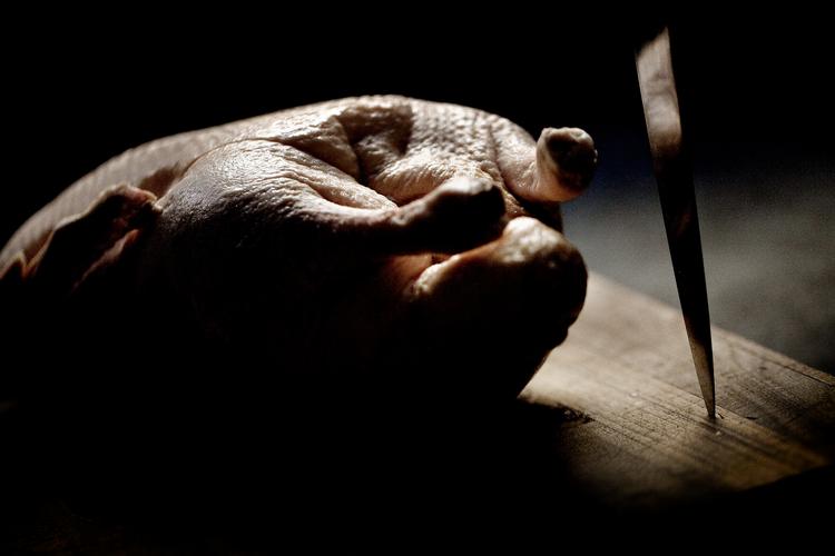 Julen er dyr, men det er dyrene, der betaler prisen, hvis vi ikke vil. (Arkivfoto) Foto: Joachim Adrian/POLFOTO