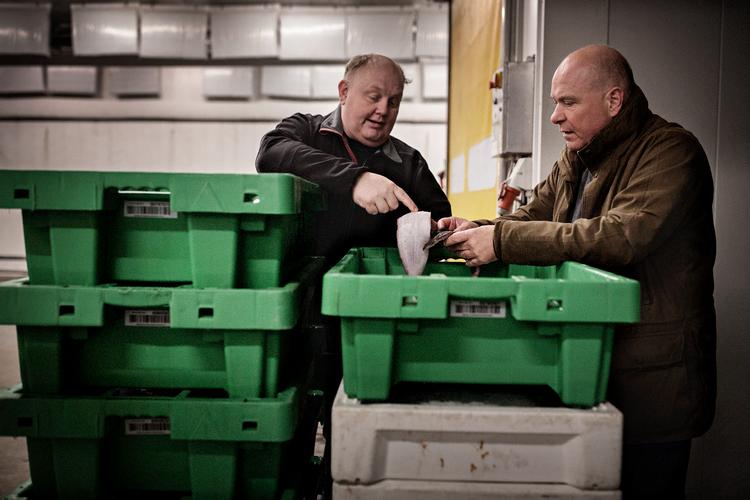 Når Søren Gade er i Danmark, slår han ofte et smut forbi havnen i Hvide Sande og får en fisk med hjem. Og en snak med Jens Nicolai Vejlgaard, som er formand for Venstre i region Midtjylland. 

   Foto: Martin Lehmann/POLFOTO