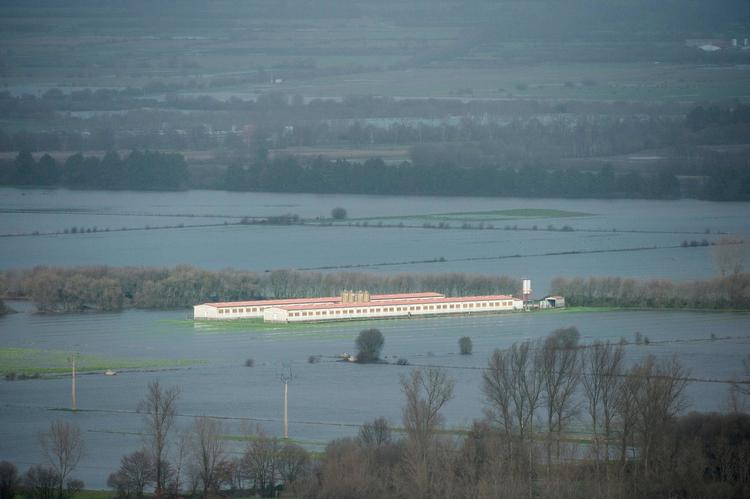 
Voldsomme oversvømmelser har ramt Xinzo de Limia i Spanien. Portugal og Frankrig er også hårdt ramt.
 (Photo by MIGUEL RIOPA / AFP)
   Foto: Miguel Riopa/Ritzau Scanpix