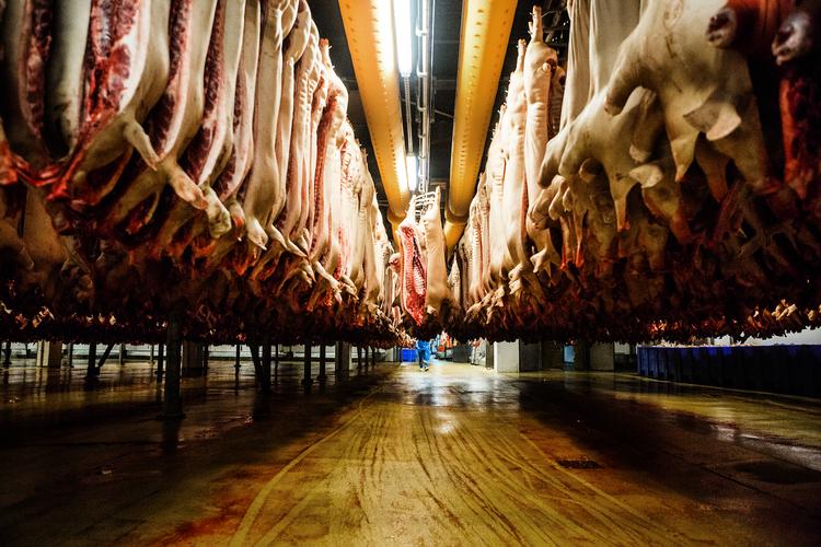 Foto: Janus Engel/POLFOTO