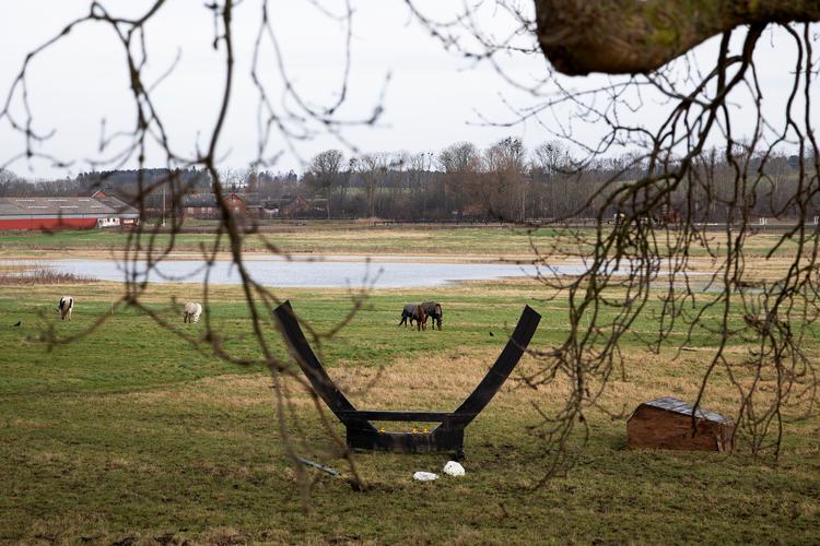 Landbrugsstyrelsen er for tiden i gang med en omfattende jordfordeling i Nordsjælland, hvor Søborg Sø skal genskabes. Efter det våde efterår er det nemt at se, at området engang var en sø.

 

 Foto: Finn Frandsen/POLFOTO