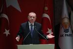 Den tyrkiske præsident Recep Tayyip Erdogan har tidligere sagt, at han vil hjælpe militært iLibyen, hvis der kommer en anmodning. Foto: Murat Kula/Ritzau Scanpix