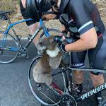 Anna Heusler giver den tørstige koala lidt vand. Foto: Social Media/Ritzau Scanpix