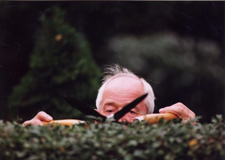 Mange foretrækker at klippe hæk om sommeren, men hækklipning kan sagtens foregå på andre tider af året.
   Arkivfoto Finn Frandsen