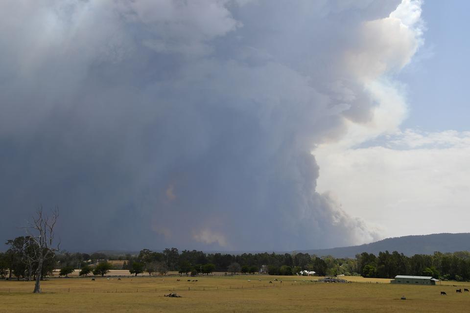 Saeed Khan/Ritzau Scanpix