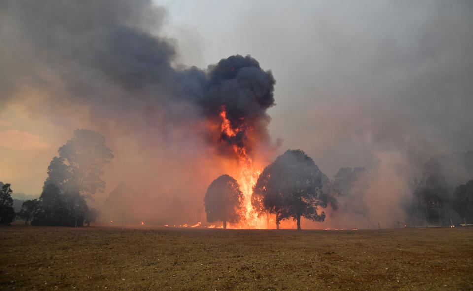 Saeed Khan/Ritzau Scanpix