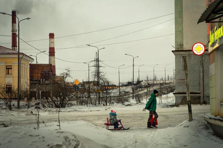 Træerne i Nikel står nøgne og mørke, ikke på grund af vinteren, men fordi den giftige os fra nikkelsmelteriet har svitset dem af.  Foto: Nima Taheri/POLFOTO