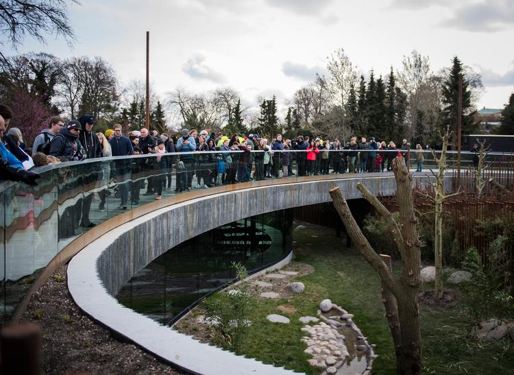 Billede fra da pandaanlægget i Københavns Zoo blev åbnet for offentligheden. Mere end 1,2 millioner mennesker besøger hvert år Københavns Zoo, der gør den til landets  fjerdemest besøgte Foto: Jonas Olufson