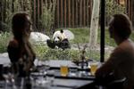 Zoologisk Have har haft et hul i sikkerheden, når det gælder databasen over årskort-indehavere. Det er lappet nu, lover haven. Arkivfoto. Foto: Emma Sejersen/POLFOTO