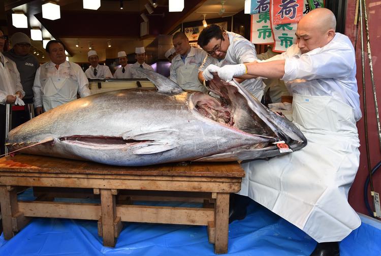 Foto: Kazuhiro Nogi/Ritzau Scanpix